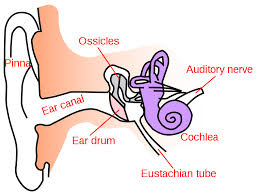 Ear Pressure after Rhinoplasty